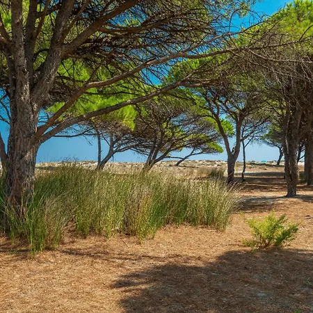 דירה Charming Le Dimore Di 1 Bed B4 Sleeps 4